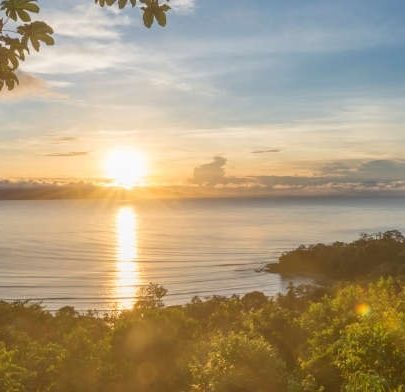 Things to Know Before Visiting the Osa Peninsula